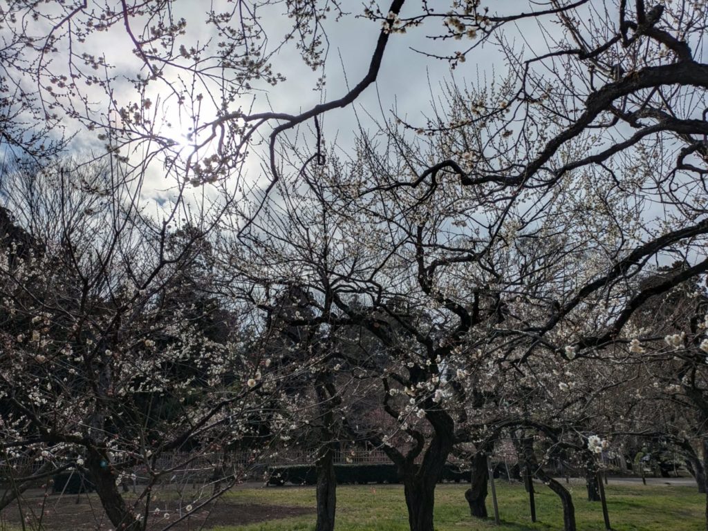 動的平衡を意識する