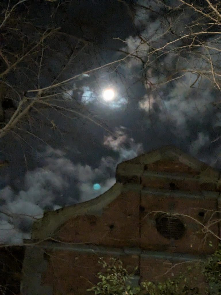 2026年のはじまり〜多極化と集中化〜